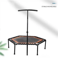 Bungee Rebounder With Bar